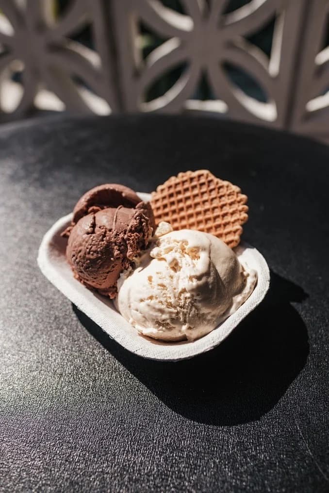 Handcrafted Gourmet Scoop
